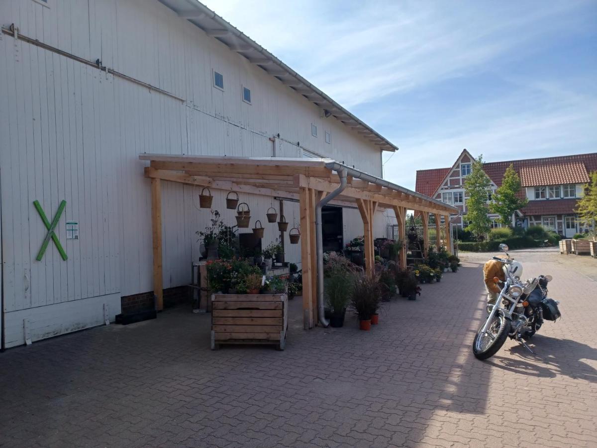 Ferienwohnung Am Elbstrom Щаде Екстериор снимка